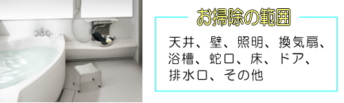 ���t�H�[��,�o�X���|���͈�