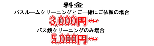 ���t�H�[��,���N���[�j���O�l�i