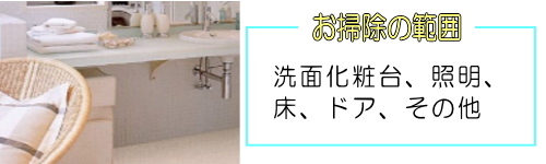 ���t�H�[��,���ʏ����|���͈�