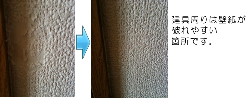 �ǎ��j���{�H��