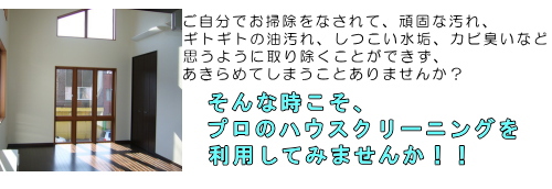 ���t�H�[��,�n�E�X�N���[�j���O����2