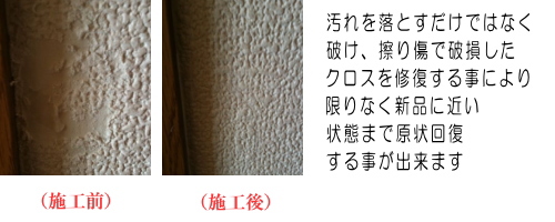 ���t�H�[��,�ǎ���C