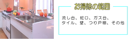 ���t�H�[��,�L�b�`�����|���͈�